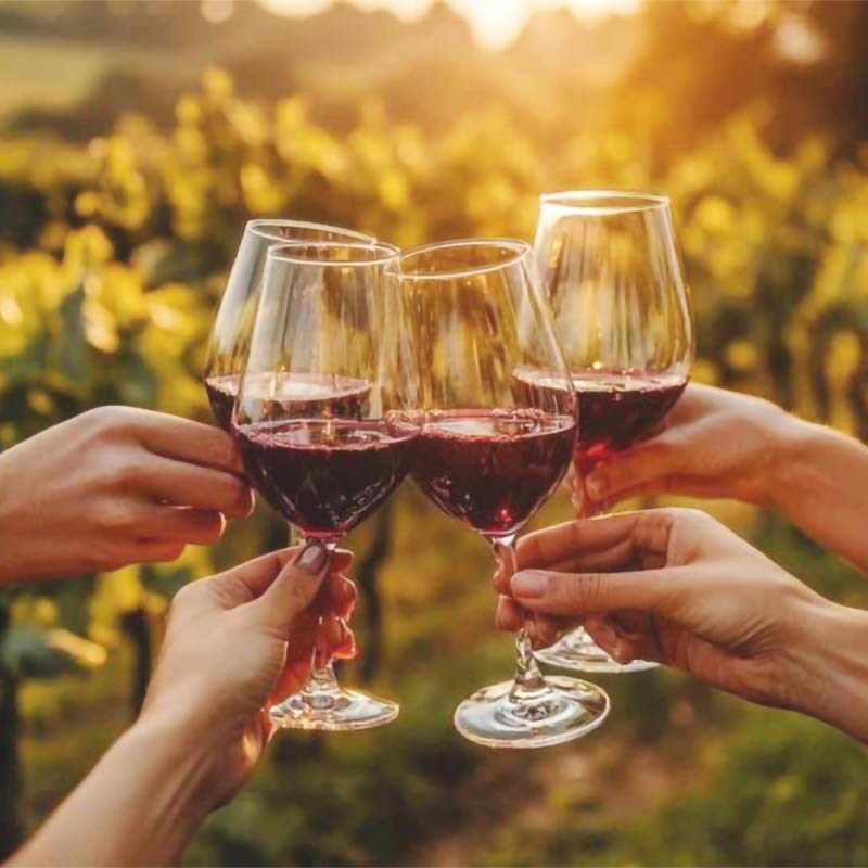 Angebote  WINE & STAY – EINE REISE DURCH GESCHMACK, GESCHICHTE UND GROSSE WEINE 