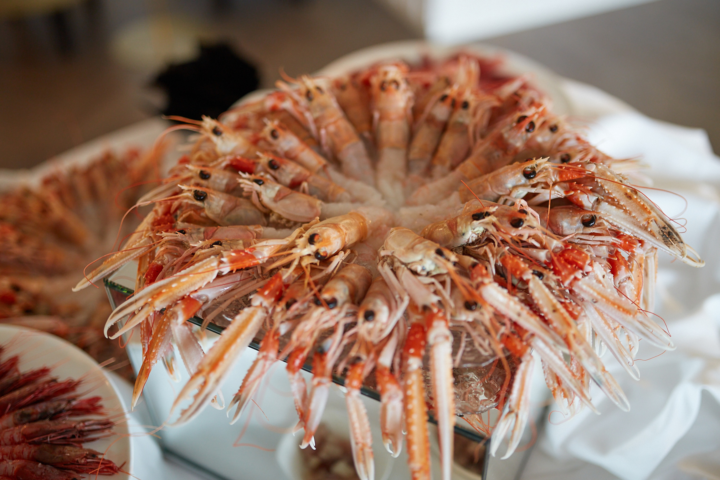 Cucina sofisticata per matrimoni al Ristorante Amarmio dell'Hotel Casa Bianca al Mare